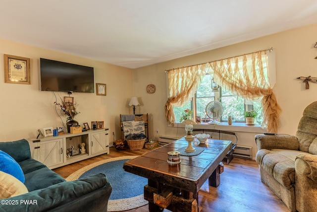 53 Windsor Rd, Hawley, PA 18428 - living room with wood finished floors and a baseboard radiator