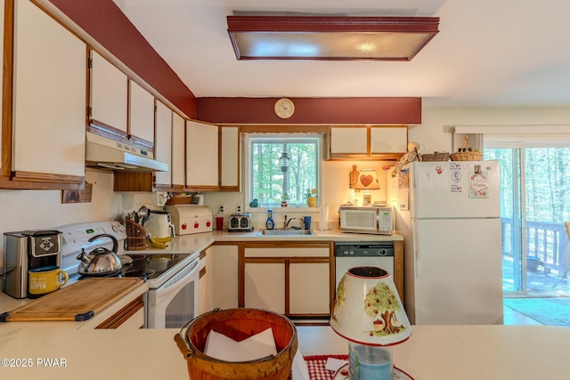 53 Windsor Rd, Hawley, PA 18428 - kitchen featuring white appliances, under cabinet range hood, healthy amount of natural light, and light countertops