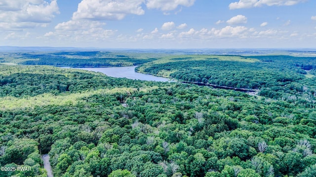 53 Windsor Rd, Hawley, PA 18428 - drone / aerial view of a forest and a nearby body of water