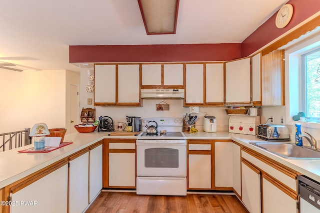 53 Windsor Rd, Hawley, PA 18428 - kitchen featuring electric stove, under cabinet range hood, dishwasher, and light countertops