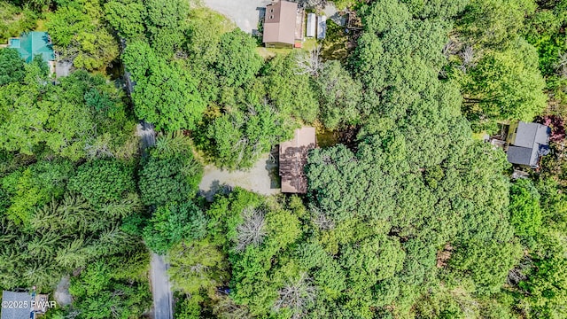 53 Windsor Rd, Hawley, PA 18428 - aerial view