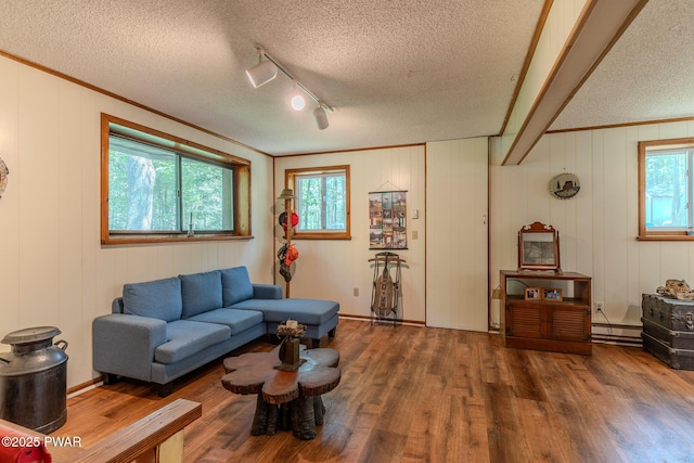 53 Windsor Rd, Hawley, PA 18428 - living area with a textured ceiling, plenty of natural light, wood finished floors, ornamental molding, and track lighting