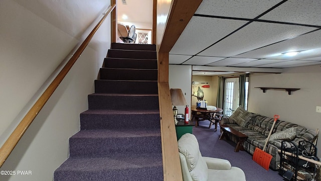 stairway featuring a drop ceiling and carpet flooring