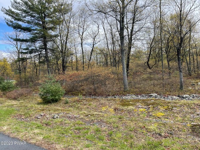 98 Blue Heron Way, Hawley, PA 18428 - photo 4