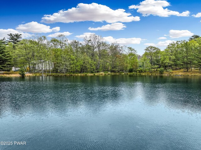 129 Lakewood Dr, Dingmans Ferry, PA 18328 - water view