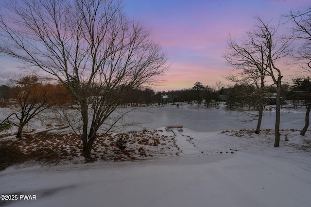 129 Lakewood Dr, Dingmans Ferry, PA 18328 - view of snowy yard