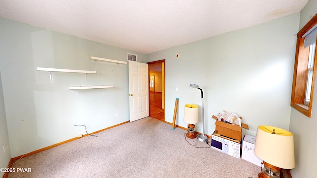 misc room with a textured ceiling, carpet, visible vents, and baseboards