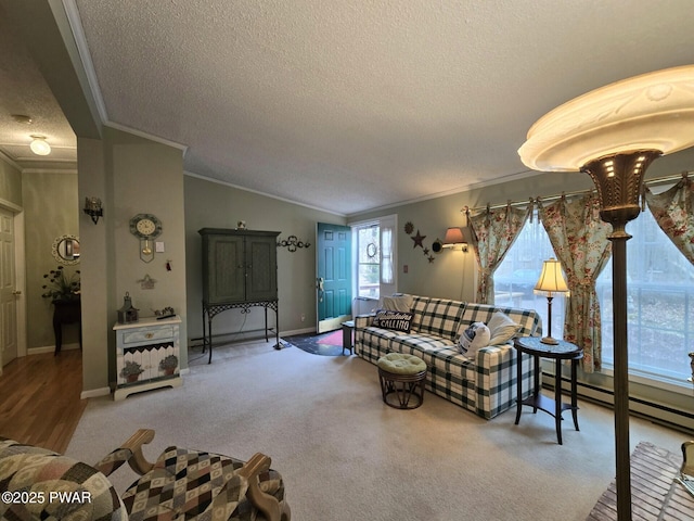 127 Maxatawny Dr, Pocono Lake, PA 18347 - living room with a textured ceiling, crown molding, vaulted ceiling, carpet floors, and a baseboard radiator