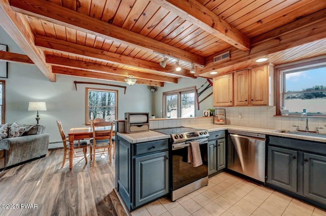 kitchen with stainless steel appliances, a sink, healthy amount of natural light, beam ceiling, and wooden ceiling