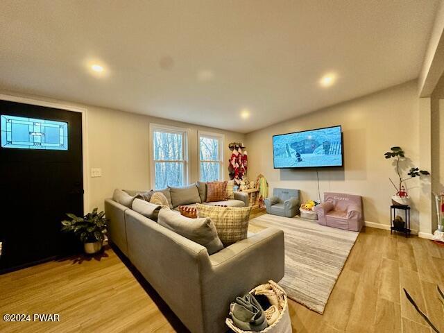 living room featuring hardwood / wood-style floors