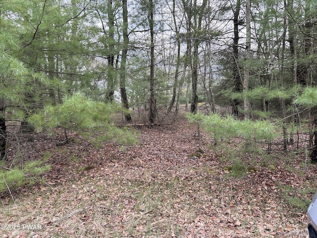 LOT129 Pitch Pine Rd, Dingmans Ferry, PA 18328