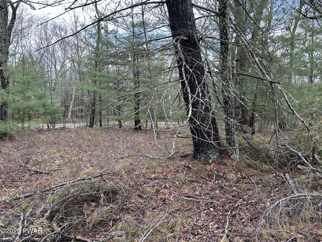 LOT129 Pitch Pine Rd, Dingmans Ferry, PA 18328