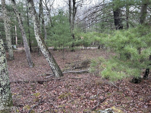 LOT129 Pitch Pine Rd, Dingmans Ferry, PA 18328