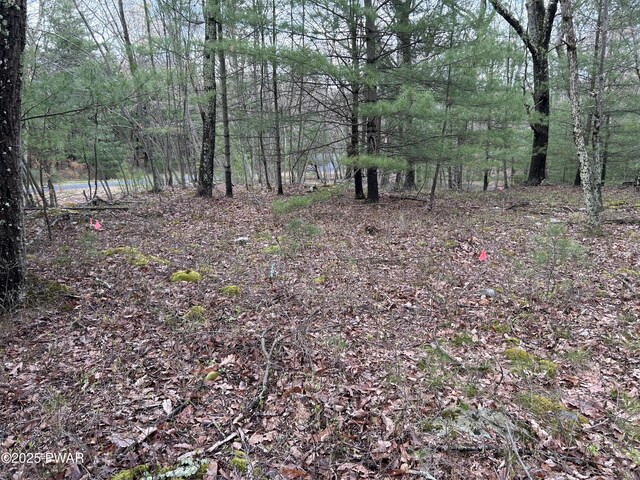 LOT129 Pitch Pine Rd, Dingmans Ferry, PA 18328