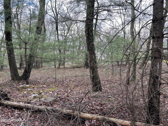 LOT129 Pitch Pine Rd, Dingmans Ferry, PA 18328