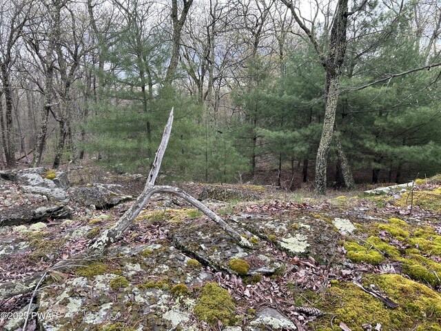 LOT129 Pitch Pine Rd, Dingmans Ferry, PA 18328