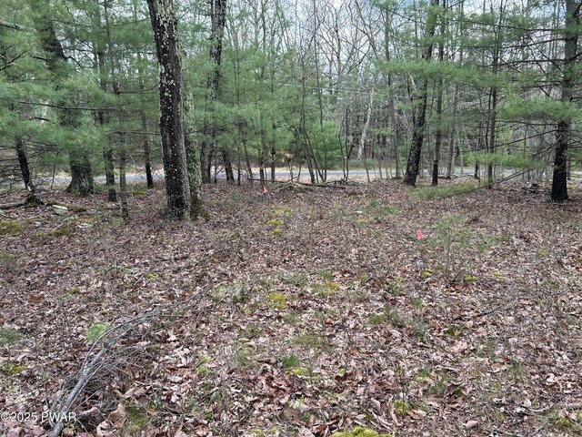 LOT129 Pitch Pine Rd, Dingmans Ferry, PA 18328