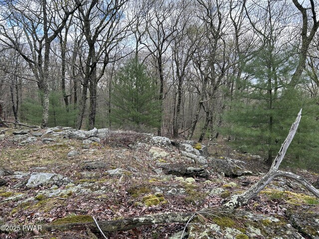 LOT129 Pitch Pine Rd, Dingmans Ferry, PA 18328