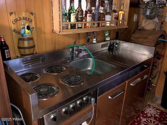 kitchen with sink and wood walls