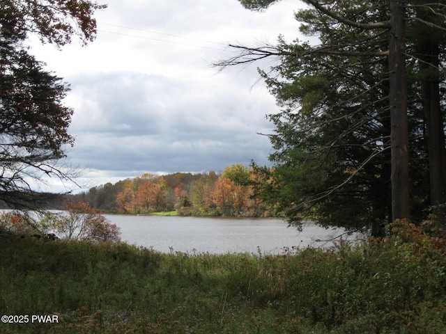 property view of water