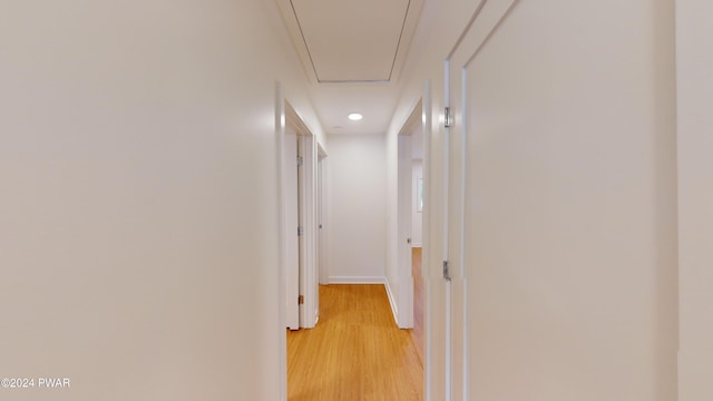 hallway featuring light hardwood / wood-style flooring