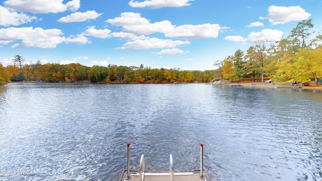 property view of water