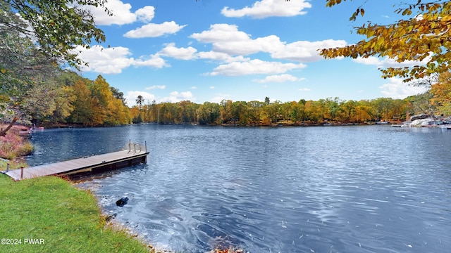 dock area with a water view