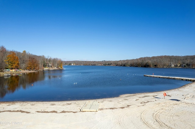 dock area with a water view