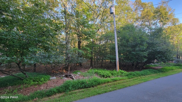 LOT17A High Ridge Rd, Dingmans Ferry PA, 18328 land for sale