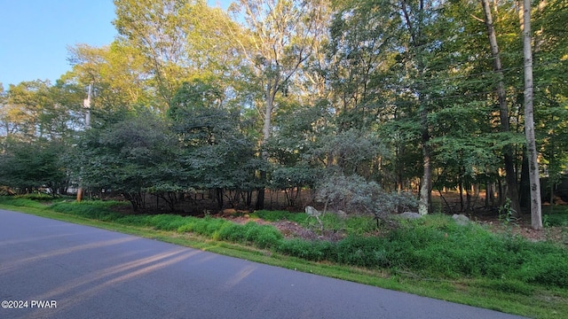 Listing photo 2 for LOT17A High Ridge Rd, Dingmans Ferry PA 18328