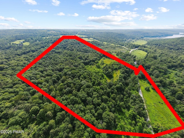 Town Hill Rd, Prompton, PA 18456 - photo 6