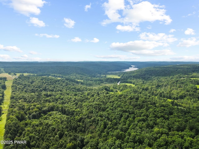 Town Hill Rd, Prompton, PA 18456 - photo 4