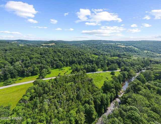 Town Hill Rd, Prompton, PA 18456 - photo 7