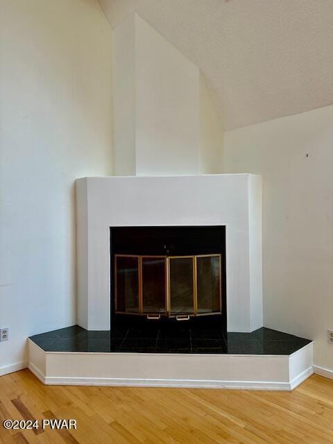 room details with a multi sided fireplace and wood-type flooring