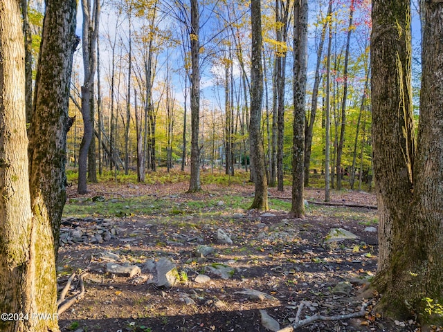 view of local wilderness