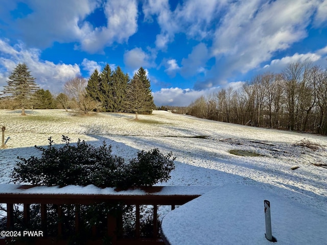 view of yard layered in snow