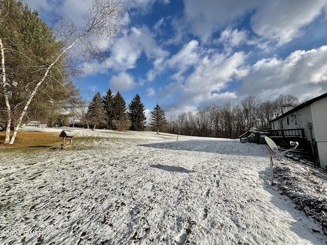 view of yard covered in snow