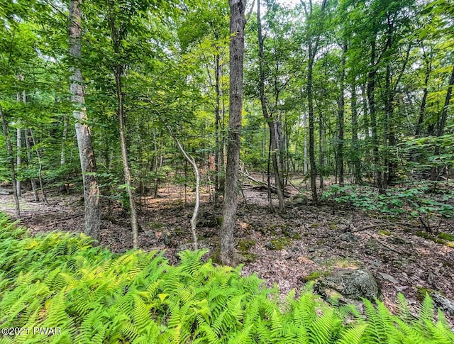 LOT683 N Paper Birch, Tafton PA, 18464 land for sale