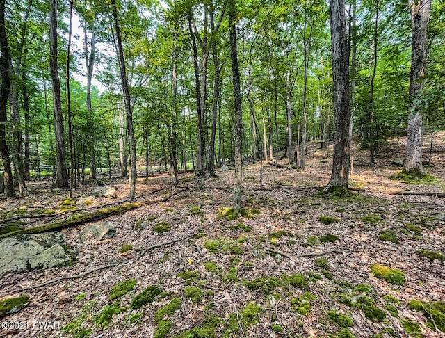 Listing photo 3 for LOT683 N Paper Birch, Tafton PA 18464