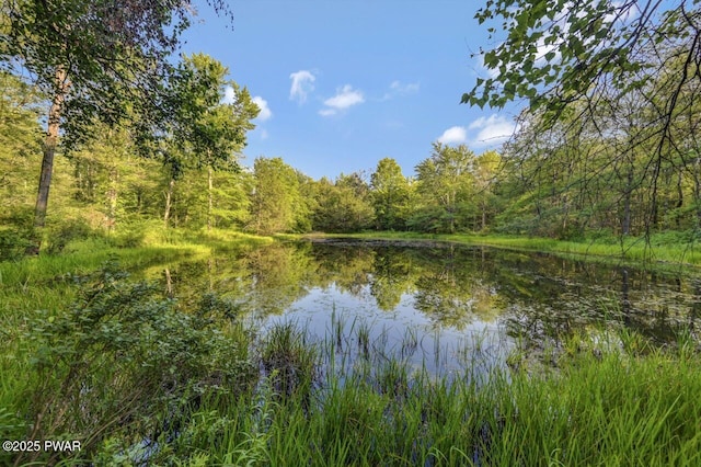 97 Eisenhauer Rd, Lake Ariel, PA 18436 - photo 6