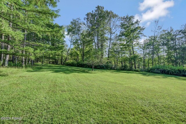 97 Eisenhauer Rd, Lake Ariel, PA 18436 - photo 68