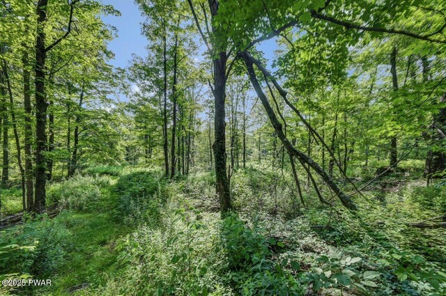 97 Eisenhauer Rd, Lake Ariel, PA 18436 - photo 70