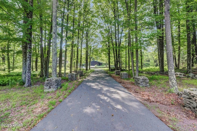 97 Eisenhauer Rd, Lake Ariel, PA 18436 - photo 5