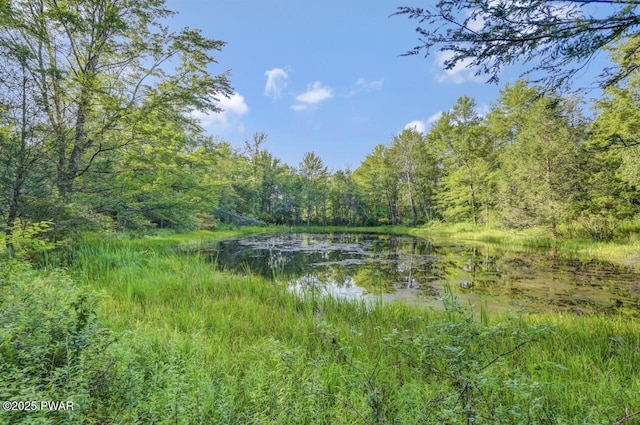 97 Eisenhauer Rd, Lake Ariel, PA 18436 - photo 59
