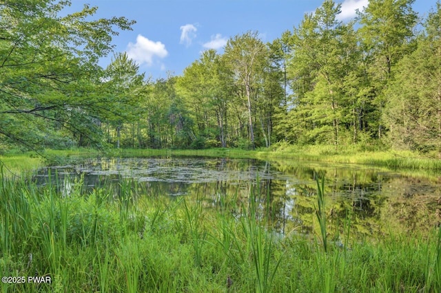 97 Eisenhauer Rd, Lake Ariel, PA 18436 - photo 60
