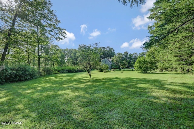 97 Eisenhauer Rd, Lake Ariel, PA 18436 - photo 71