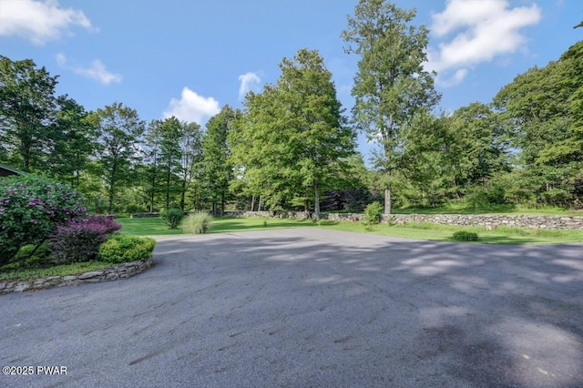 97 Eisenhauer Rd, Lake Ariel, PA 18436 - photo 66