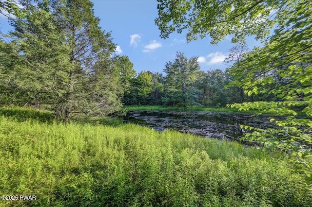 97 Eisenhauer Rd, Lake Ariel, PA 18436 - photo 61
