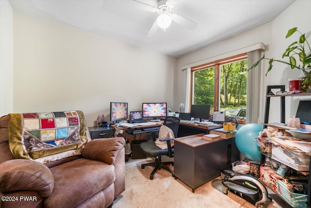 office with light colored carpet and ceiling fan