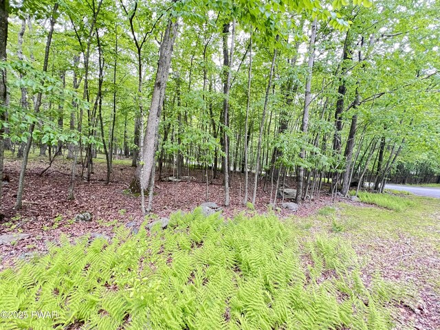 147 Ledgeway Dr, Dingmans Ferry, PA 18328